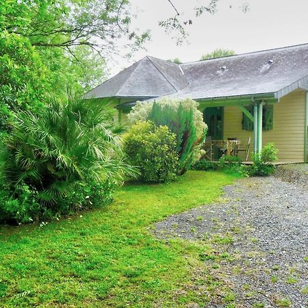 Le Chalet Du Bief Eysus Extérieur photo